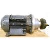 SIEMENS MOTOR 1LA5166-4CA66-Z, 15KW - 173KW, REXROTH PISTON pumps R901089173