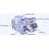 Dansion piston pump Gold cup P7P series P7P-3L1E-9A2-A00-0A0