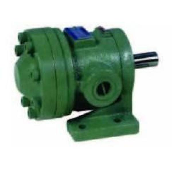 Kompass 50T,150T Series Fixed Displacement Vane Pumps #1 image