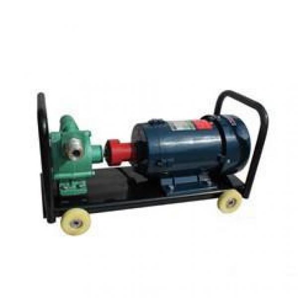 KYB Greece Series Portable Self-priming Skateboard Pump #1 image