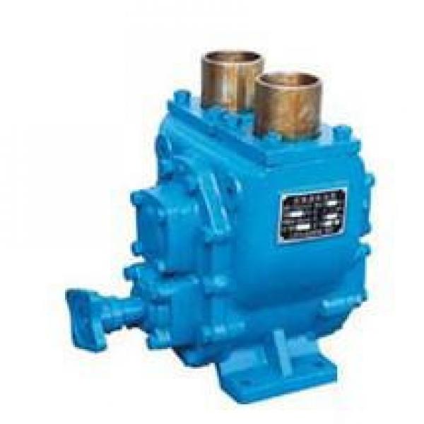 YHCB Australia Series Arc Gear Pumps #1 image