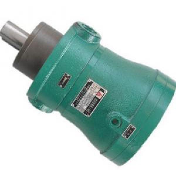 16MCM14-1B Series Axial Piston Motor #1 image