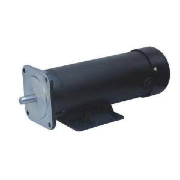 123ZYT Series Electric DC Motor 123ZYT-90-600-1700 #1 image